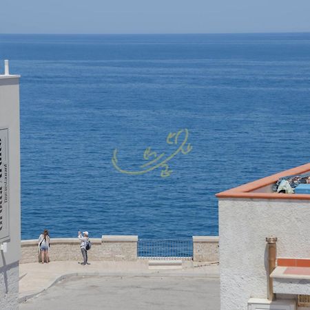 فيلا Td Casa Marevino Seaside Terrace With Panoramic Views بولينيانو آ ماري المظهر الخارجي الصورة